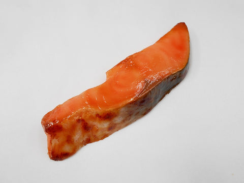 Saumon grillé (grand) Aimant