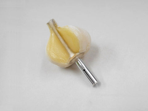Cut Garlic Pen Cap