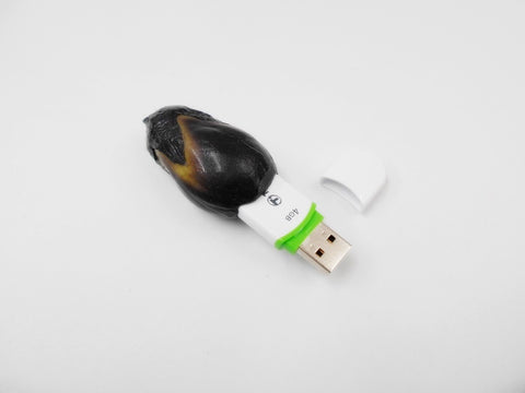 Aubergine (petite) Clé USB (4Go)