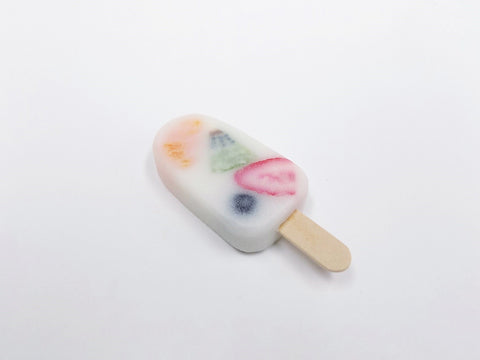 Mixed Fruit Ice Cream Bar Magnet